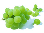 grape102.jpg